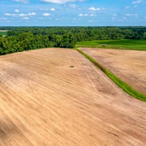 Photo #27 of SOLD property in Off Tedder Road, Fairmont, NC 27.9 acres