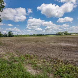 Photo #2 of SOLD property in Off Tedder Road, Fairmont, NC 27.9 acres