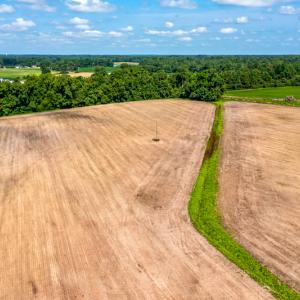 Photo #28 of SOLD property in Off Tedder Road, Fairmont, NC 27.9 acres