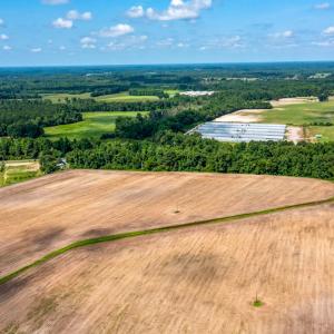 Photo #31 of SOLD property in Off Tedder Road, Fairmont, NC 27.9 acres
