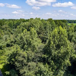 Photo #34 of SOLD property in Off Tedder Road, Fairmont, NC 27.9 acres