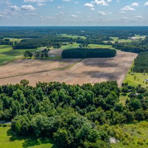 Photo #35 of SOLD property in Off Tedder Road, Fairmont, NC 27.9 acres