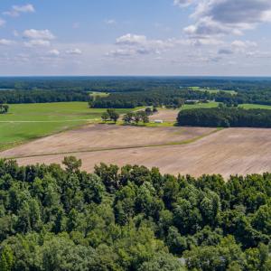 Photo #36 of SOLD property in Off Tedder Road, Fairmont, NC 27.9 acres