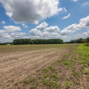 Photo #4 of SOLD property in Off Tedder Road, Fairmont, NC 27.9 acres
