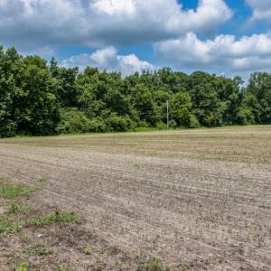 Photo #5 of SOLD property in Off Tedder Road, Fairmont, NC 27.9 acres