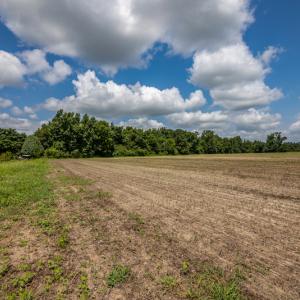 Photo #7 of SOLD property in Off Tedder Road, Fairmont, NC 27.9 acres