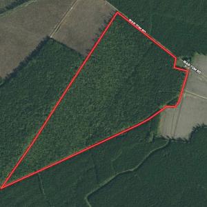 Photo #1 of SOLD property in Off War Tom Road, Aulander, NC 89.0 acres