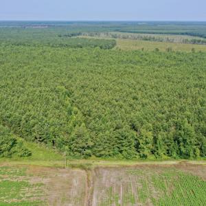 Photo #23 of SOLD property in Off War Tom Road, Aulander, NC 89.0 acres