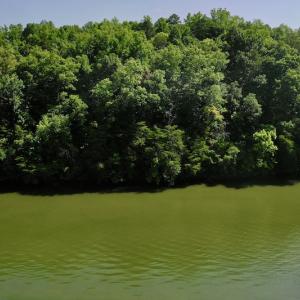 Photo #8 of Off Reservior View Drive, Pittsville, VA 5.0 acres
