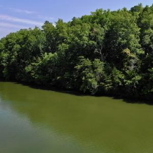 Photo #10 of Off Reservior View Drive, Pittsville, VA 5.0 acres