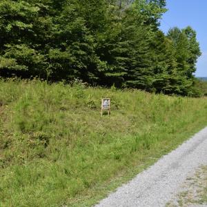 Photo #13 of Off Reservior View Drive, Pittsville, VA 5.0 acres