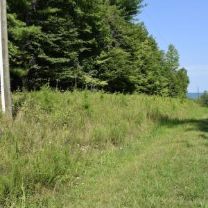 Photo #14 of Off Reservior View Drive, Pittsville, VA 5.0 acres