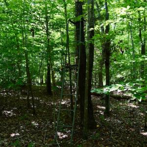 Photo #19 of Off Reservior View Drive, Pittsville, VA 5.0 acres