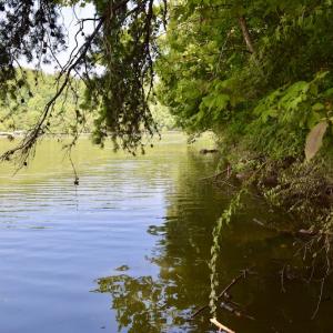Photo #25 of Off Reservior View Drive, Pittsville, VA 5.0 acres