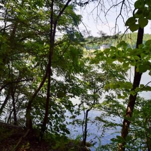 Photo #28 of Off Reservior View Drive, Pittsville, VA 5.0 acres