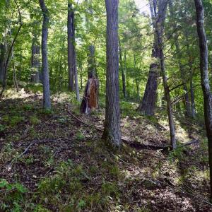 Photo #29 of Off Reservior View Drive, Pittsville, VA 5.0 acres
