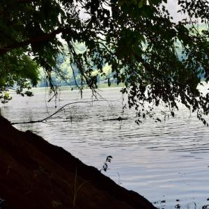Photo #30 of Off Reservior View Drive, Pittsville, VA 5.0 acres