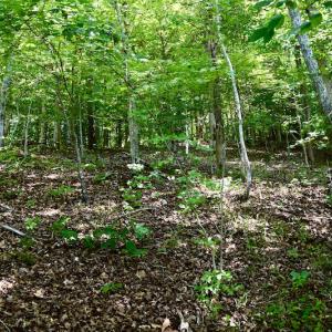 Photo #32 of Off Reservior View Drive, Pittsville, VA 5.0 acres