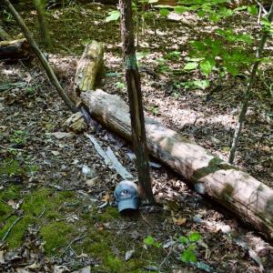 Photo #37 of Off Reservior View Drive, Pittsville, VA 5.0 acres