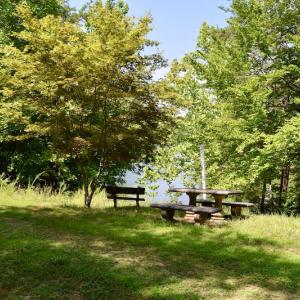 Photo #38 of Off Reservior View Drive, Pittsville, VA 5.0 acres