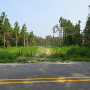 Photo #2 of SOLD property in Off Old Northeast Road, Hallsboro, NC 99.0 acres