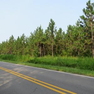 Photo #4 of SOLD property in Off Old Northeast Road, Hallsboro, NC 99.0 acres