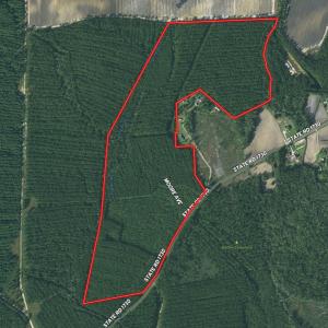 Photo #1 of SOLD property in Off Old Northeast Road, Hallsboro, NC 99.0 acres