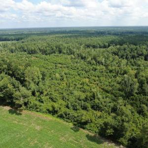Photo #2 of SOLD property in Off Doodle Hill Road, Cerro Gordo, NC 149.0 acres