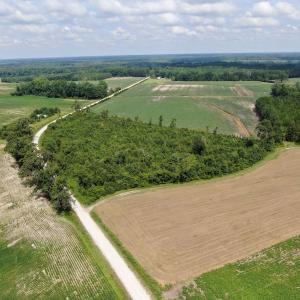 Photo #3 of SOLD property in Off Doodle Hill Road, Cerro Gordo, NC 149.0 acres