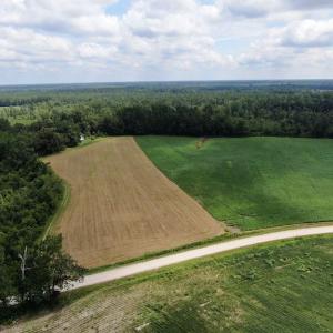 Photo #5 of SOLD property in Off Doodle Hill Road, Cerro Gordo, NC 149.0 acres