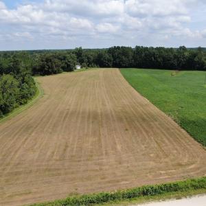 Photo #6 of SOLD property in Off Doodle Hill Road, Cerro Gordo, NC 149.0 acres