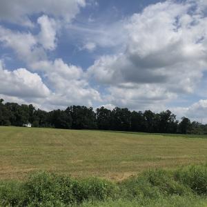 Photo #11 of SOLD property in Off Doodle Hill Road, Cerro Gordo, NC 149.0 acres