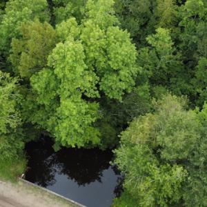 Photo #6 of SOLD property in Off Hagan Road, Loris, SC 24.0 acres