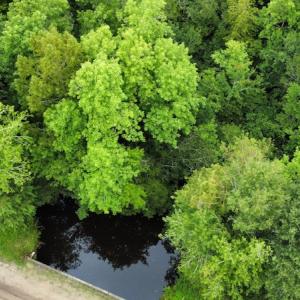 Photo #7 of SOLD property in Off Hagan Road, Loris, SC 24.0 acres