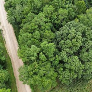 Photo #20 of SOLD property in Off Hagan Road, Loris, SC 24.0 acres