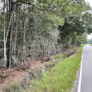 Photo #3 of Off Highway 430, Nichols, SC 32.3 acres