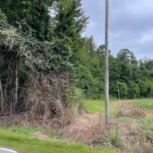 Photo #5 of Off Highway 430, Nichols, SC 32.3 acres
