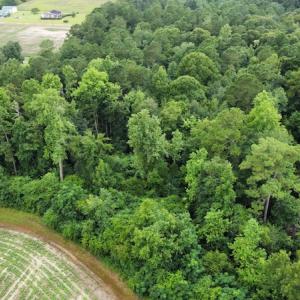 Photo #11 of Off Highway 430, Nichols, SC 32.3 acres