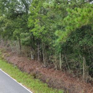 Photo #13 of Off Highway 430, Nichols, SC 32.3 acres