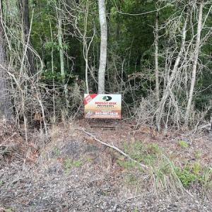 Photo #16 of Off Highway 430, Nichols, SC 32.3 acres