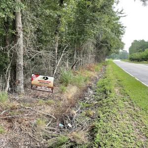 Photo #17 of Off Highway 430, Nichols, SC 32.3 acres