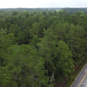 Photo #6 of Off Highway 430, Nichols, SC 32.3 acres