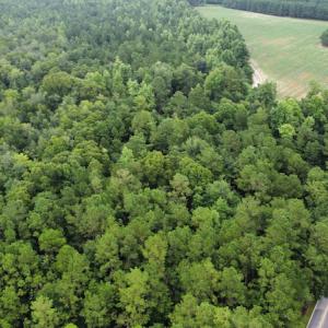 Photo #8 of Off Highway 430, Nichols, SC 32.3 acres