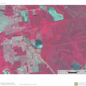 Photo #52 of SOLD property in Off Hwy 348 & Beargrass Road, Loris, SC 151.2 acres