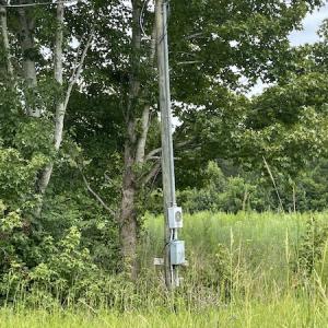 Photo #3 of SOLD property in Off Hwy 348 & Beargrass Road, Loris, SC 151.2 acres