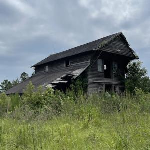 Photo #4 of SOLD property in Off Hwy 348 & Beargrass Road, Loris, SC 151.2 acres