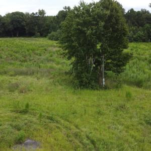 Photo #7 of SOLD property in Off Hwy 348 & Beargrass Road, Loris, SC 151.2 acres