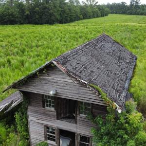 Photo #8 of SOLD property in Off Hwy 348 & Beargrass Road, Loris, SC 151.2 acres