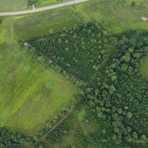 Photo #16 of SOLD property in Off Hwy 348 & Beargrass Road, Loris, SC 151.2 acres