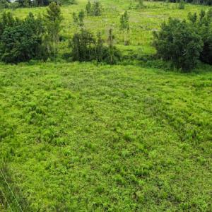 Photo #22 of SOLD property in Off Hwy 348 & Beargrass Road, Loris, SC 151.2 acres